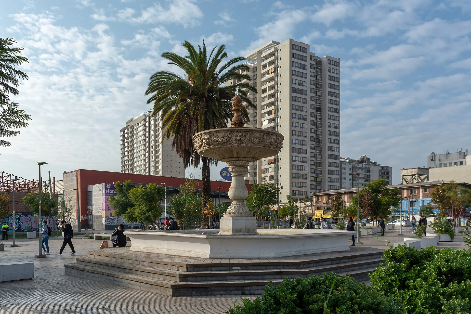 Cardiólogo veterinario a domicilio en Independencia