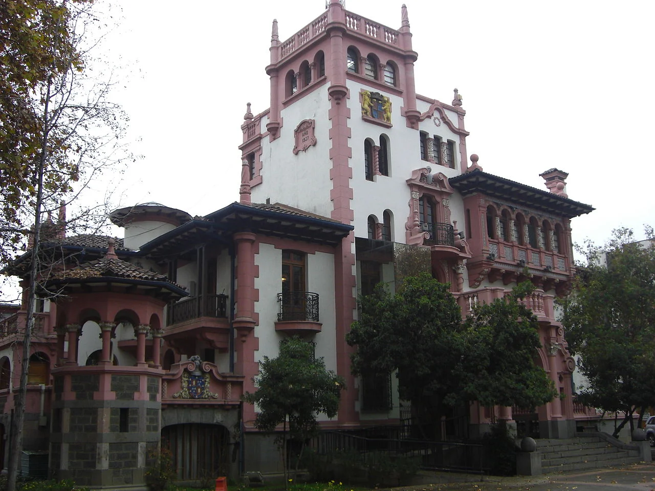 Cardiólogo veterinario a domicilio en Macul