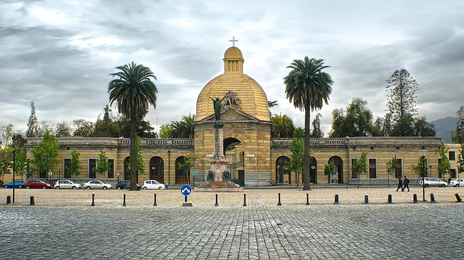 Cardiólogo veterinario a domicilio en Recoleta